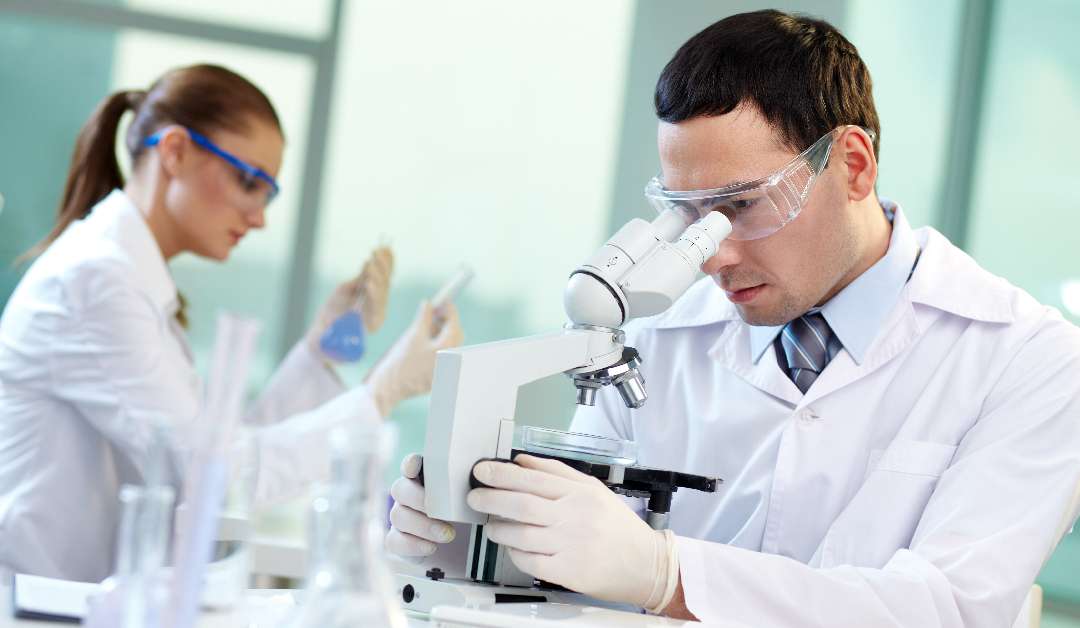 TOXICOLOGIA