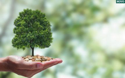 MERCADO DE CRÉDITO DE CARBONO