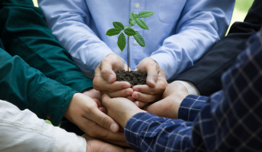 ESG E SUSTENTABILIDADE