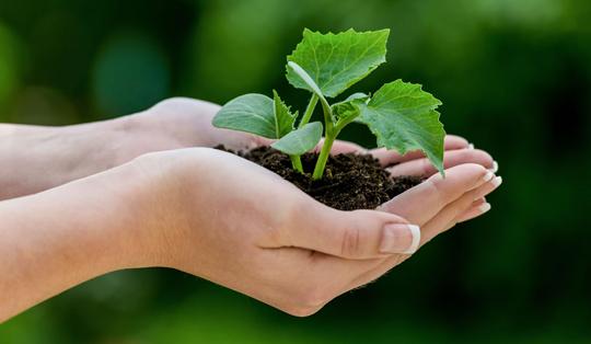 GESTÃO AMBIENTAL