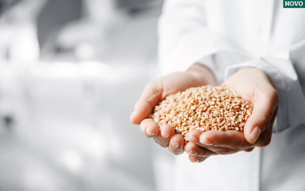 SEGURANÇA ALIMENTAR E MANIPULAÇÃO DE ALIMENTOS
