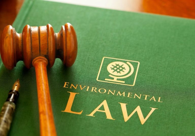 Um livro verde com o texto "Environmental Law", um martelo de juiz e uma caneta sobre ele. Curso: Princípios Gerais do Direito Ambiental.